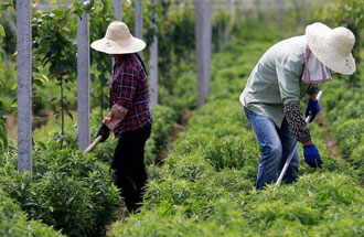 7月30日，河南省中藥材生產工作暨產業(yè)扶貧現場會在南陽市南召縣成功召開